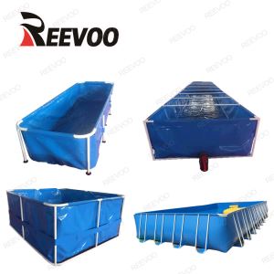 Eco Fish Tank